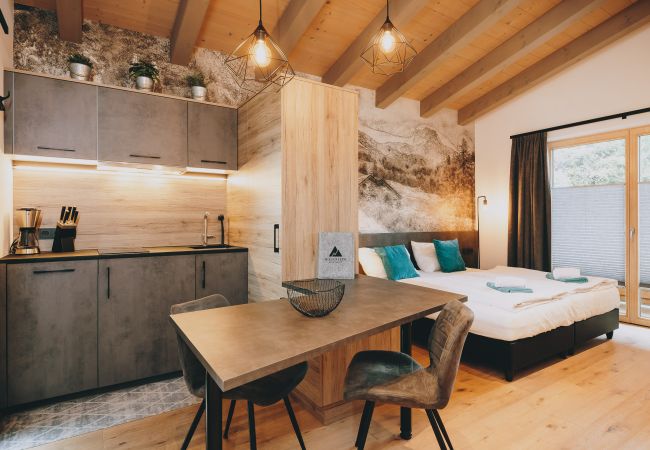 Studio in Saalbach - Apartments Niederseer - Reiterkogel Studio in Saalbach - Apartments Niederseer - Reiterkogel