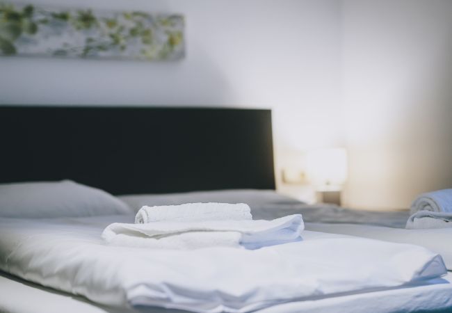 Ferienwohnung in Zell am See - Areit Apartments - Top 3 Ferienwohnung in Zell am See - Areit Apartments - Top 3