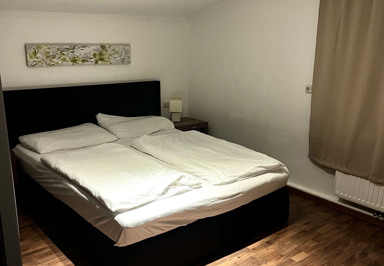 Ferienwohnung in Zell am See - Areit Apartments - Top 3