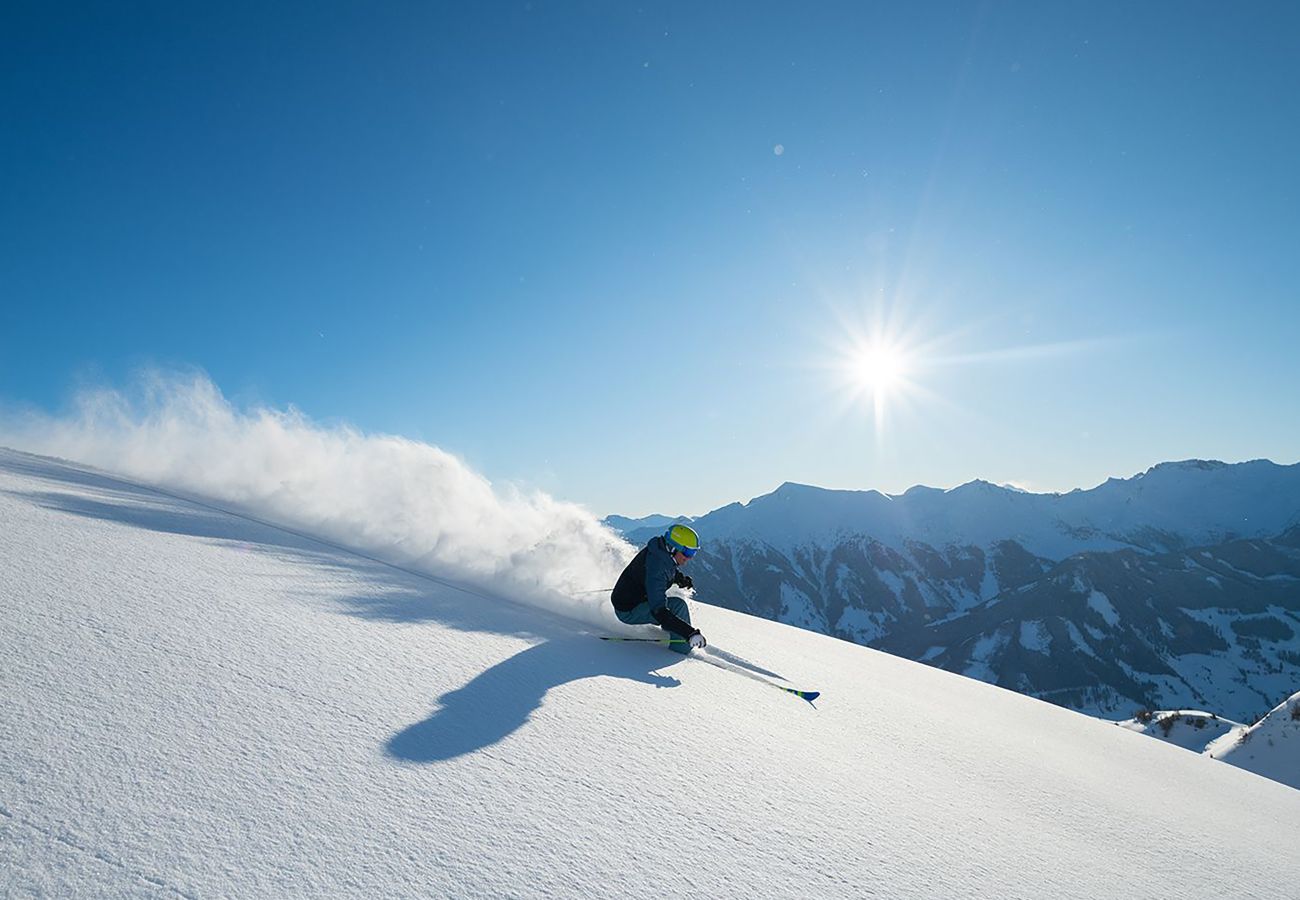 Ferienwohnung in Rauris - Apartments Goldbergblick - TOP 1