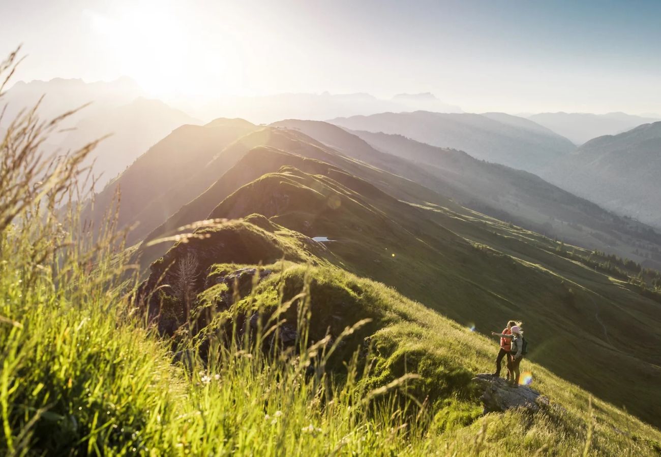 Ferienwohnung in Saalbach - Appartements Hollin - Top 3