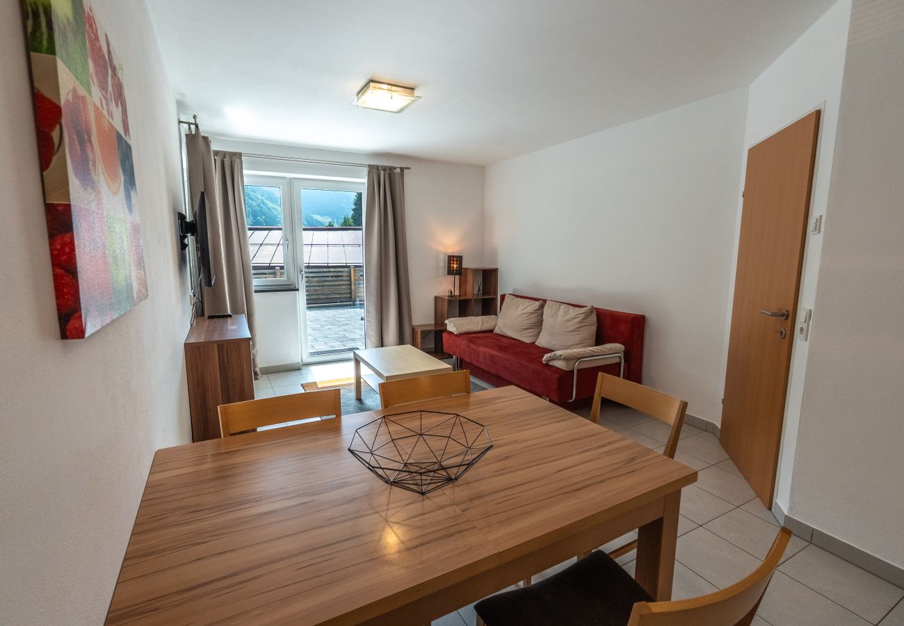 Ferienwohnung in Viehhofen - Appartement MaLo - Top 1