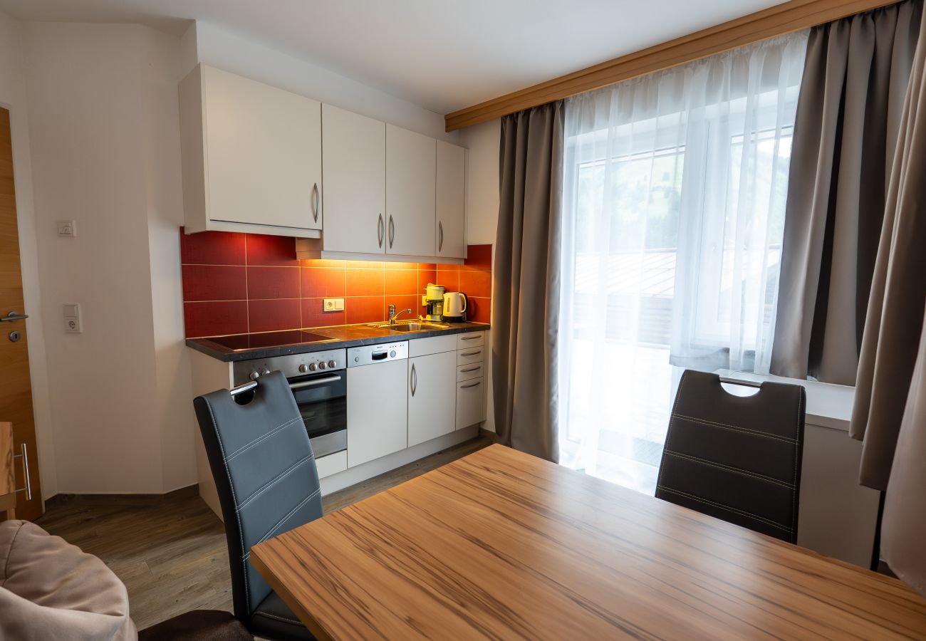 Ferienwohnung in Viehhofen - Appartement MaLo - Top 2
