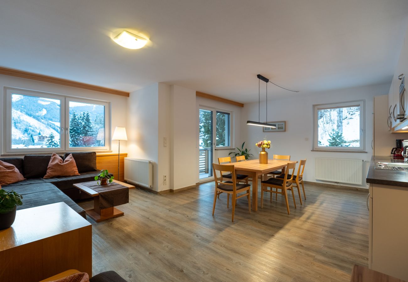 Ferienwohnung in Viehhofen - Appartement MaLo - Top 3