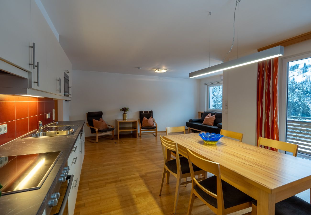 Ferienwohnung in Viehhofen - Appartement MaLo - Top 4