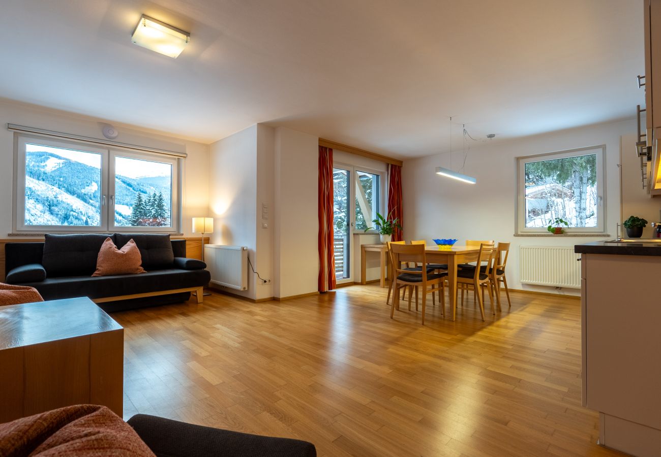 Ferienwohnung in Viehhofen - Appartement MaLo - Top 4