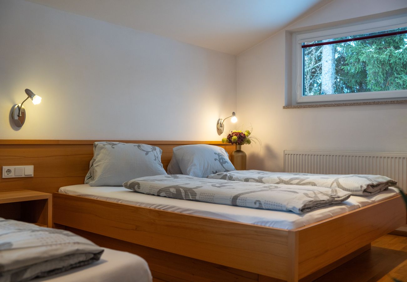 Ferienwohnung in Viehhofen - Appartement MaLo - Top 4