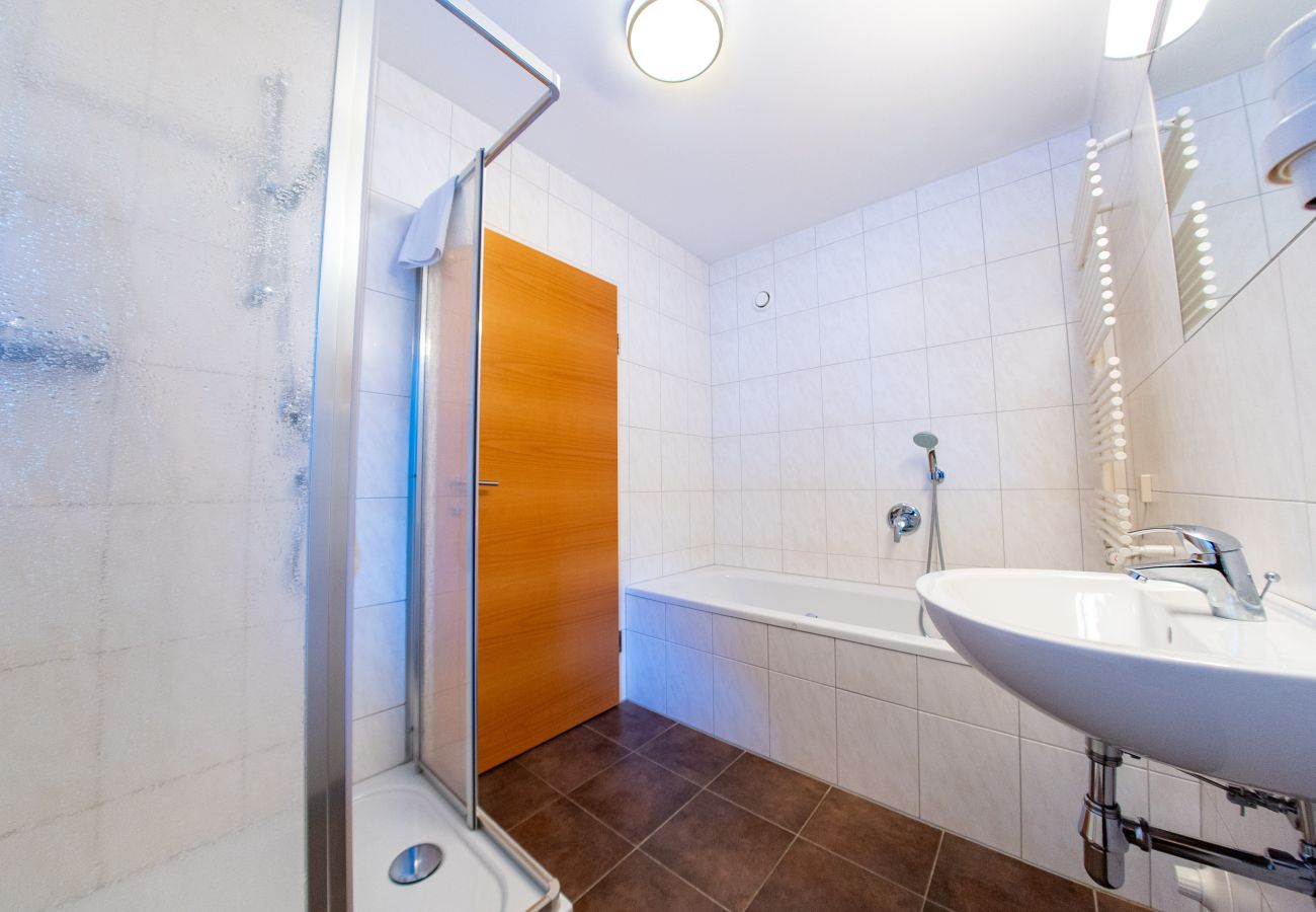 Ferienwohnung in Viehhofen - Appartement MaLo - Top 4