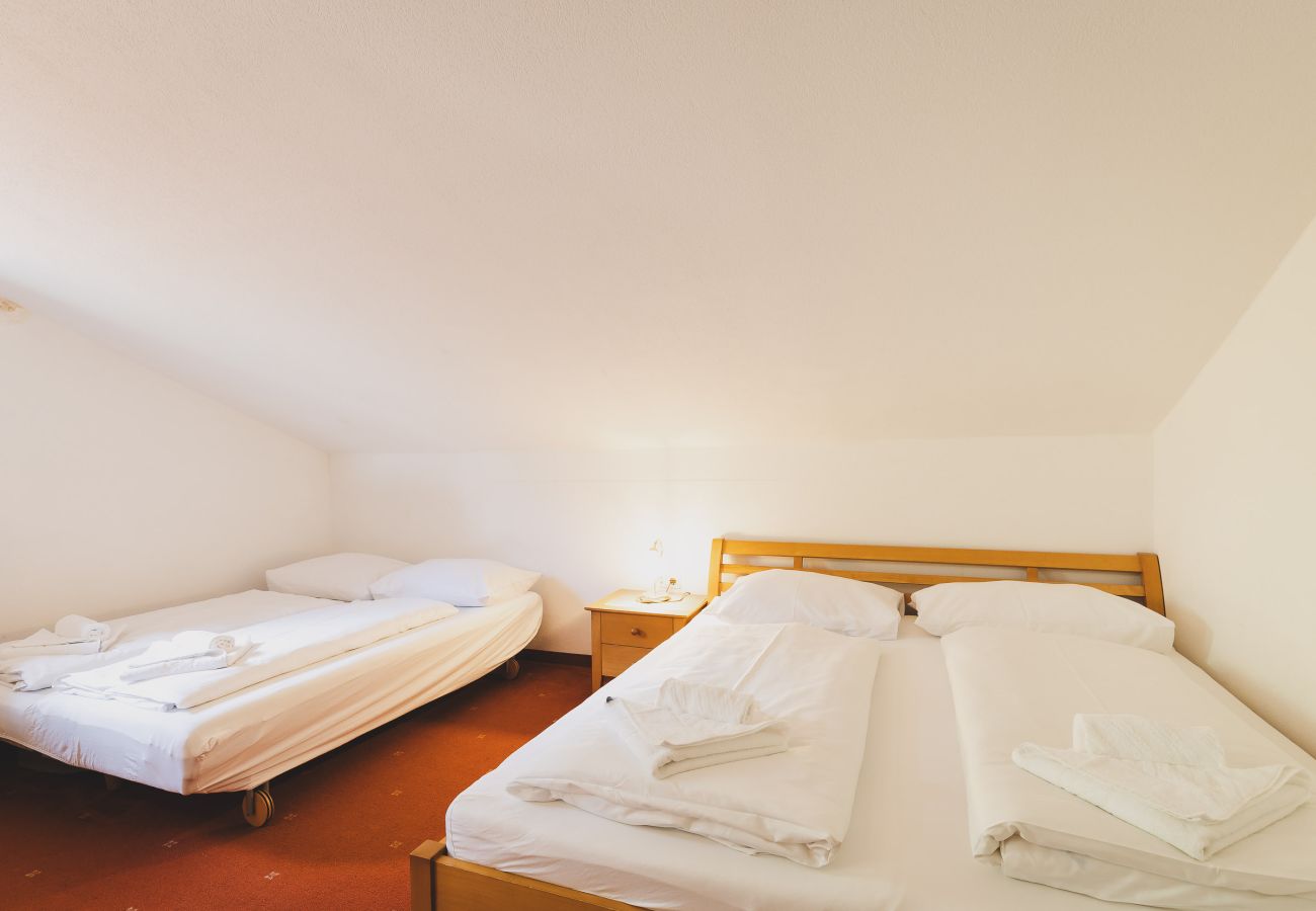 Chalet in Zell am See - Chalet Nathalie
