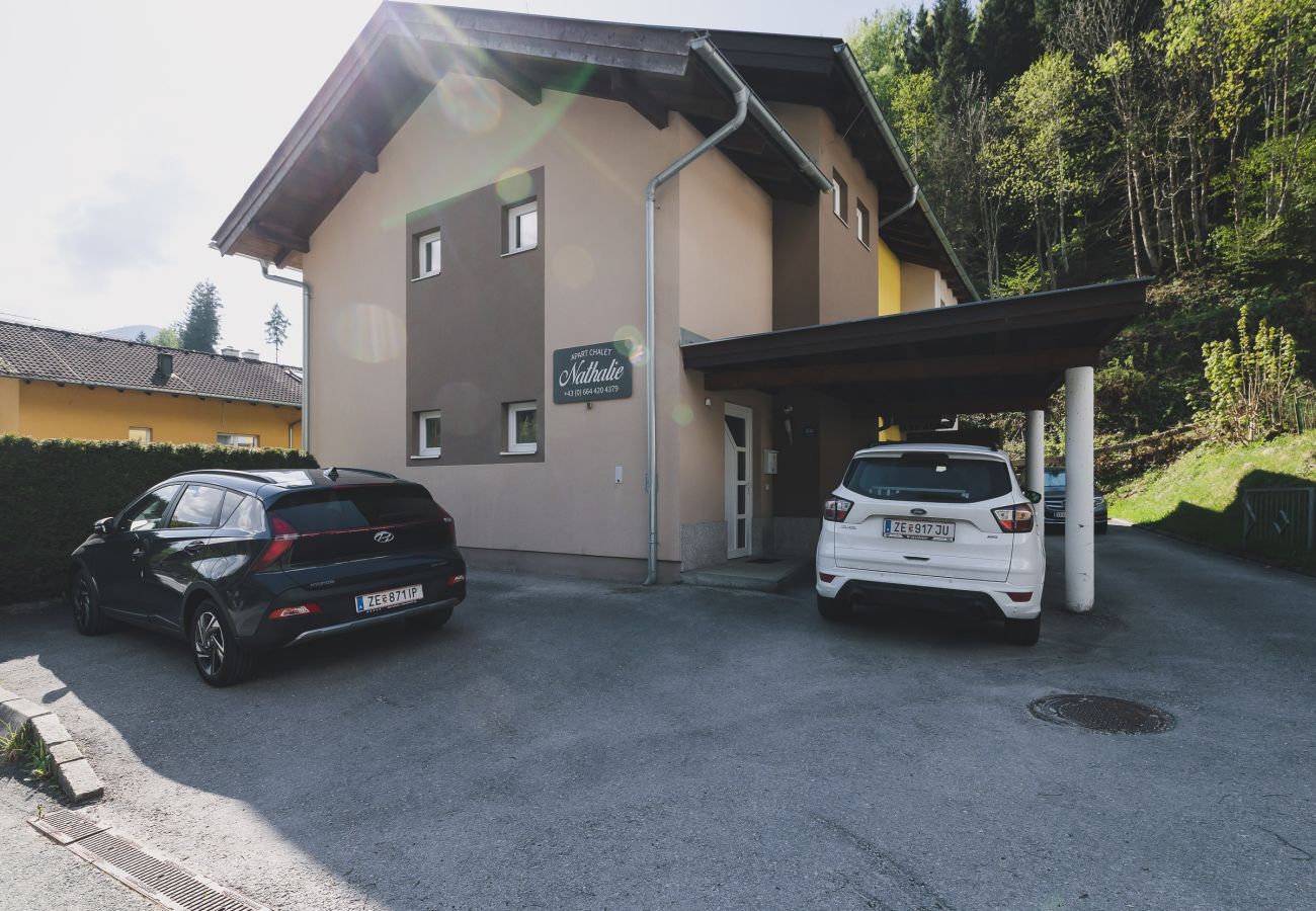 Chalet in Zell am See - Chalet Nathalie