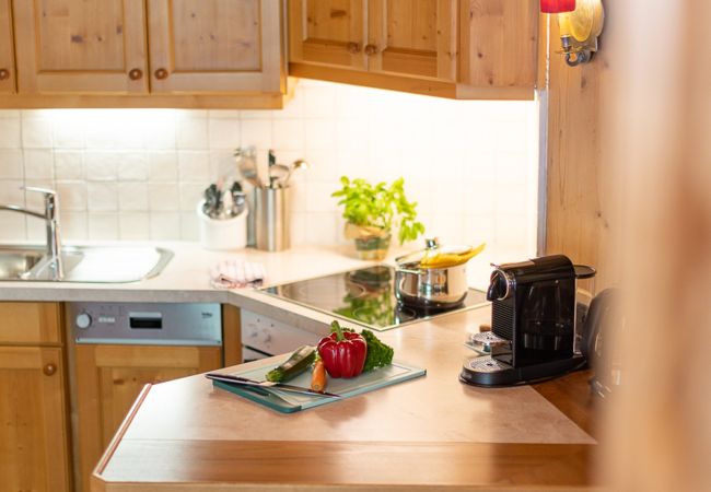 Ferienwohnung in Saalbach - Appartements Fürstauer - WM Appartement Ferienwohnung in Saalbach - Appartements Fürstauer - WM Appartement