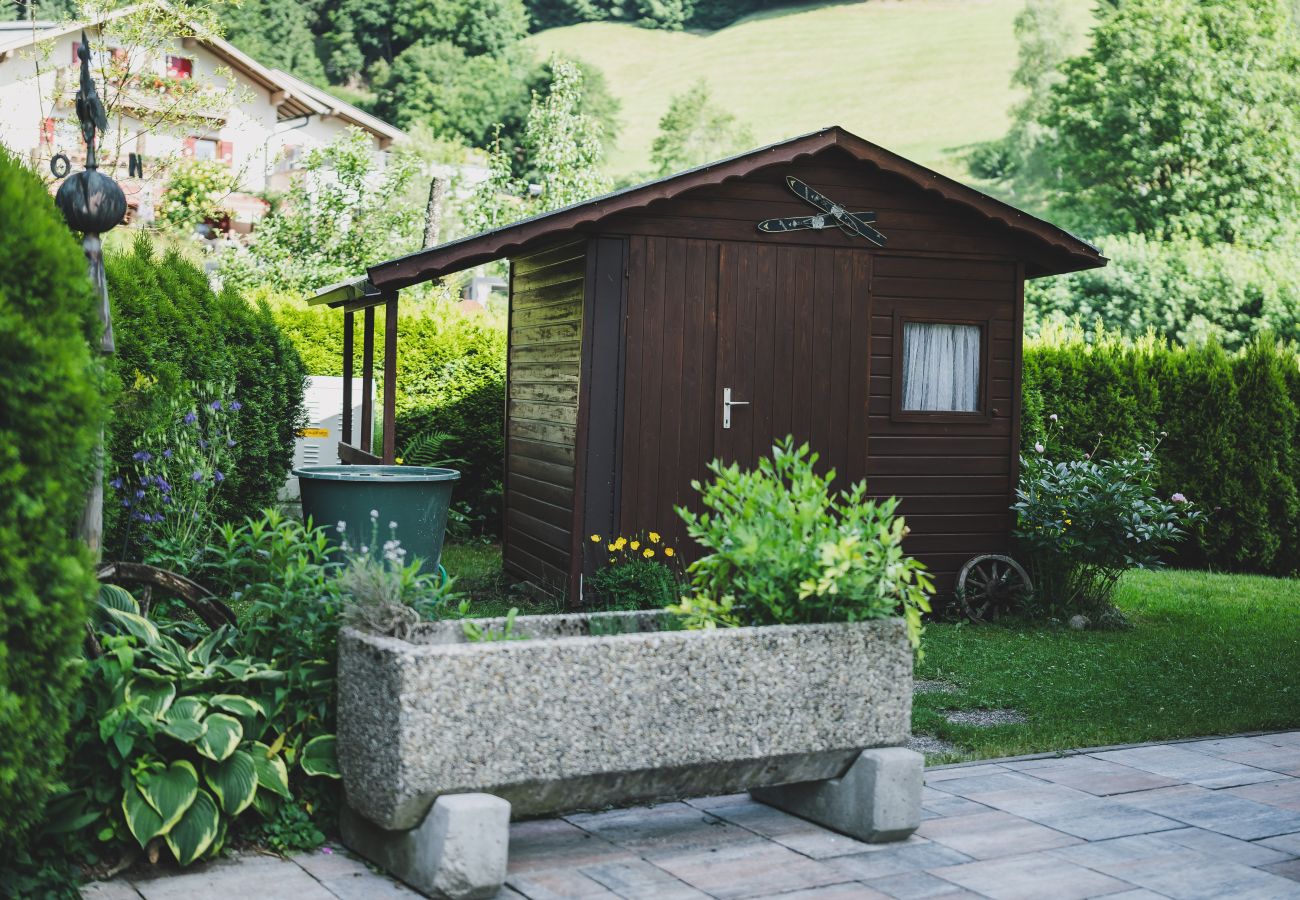 Chalet in Zell am See - Chalet Carina