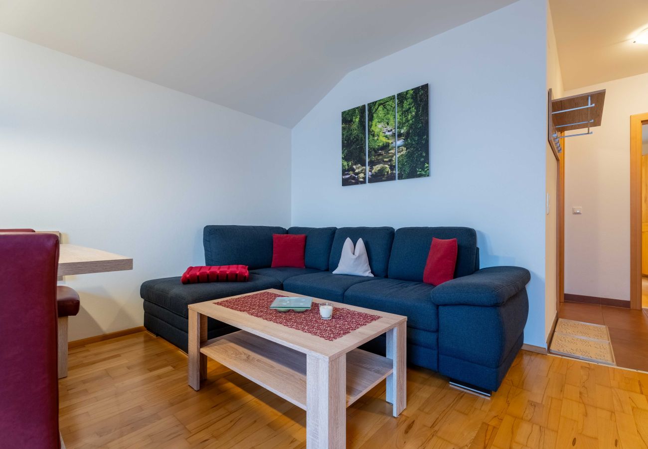 Ferienwohnung in Bad Hofgastein - Weitblick Appartements - TOP 1