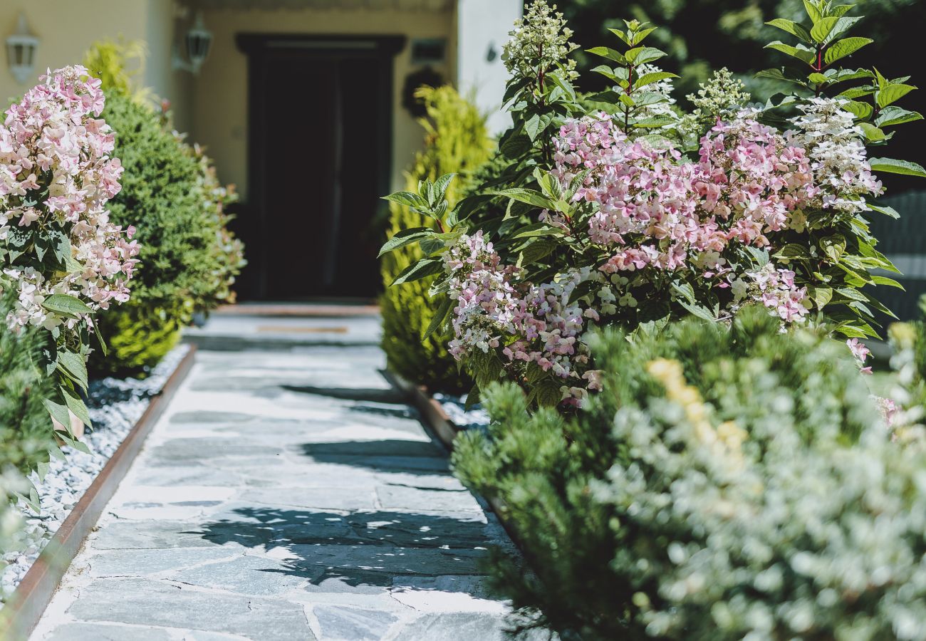 Ferienwohnung in Zell am See - Appartement Haus Elise - TOP 4