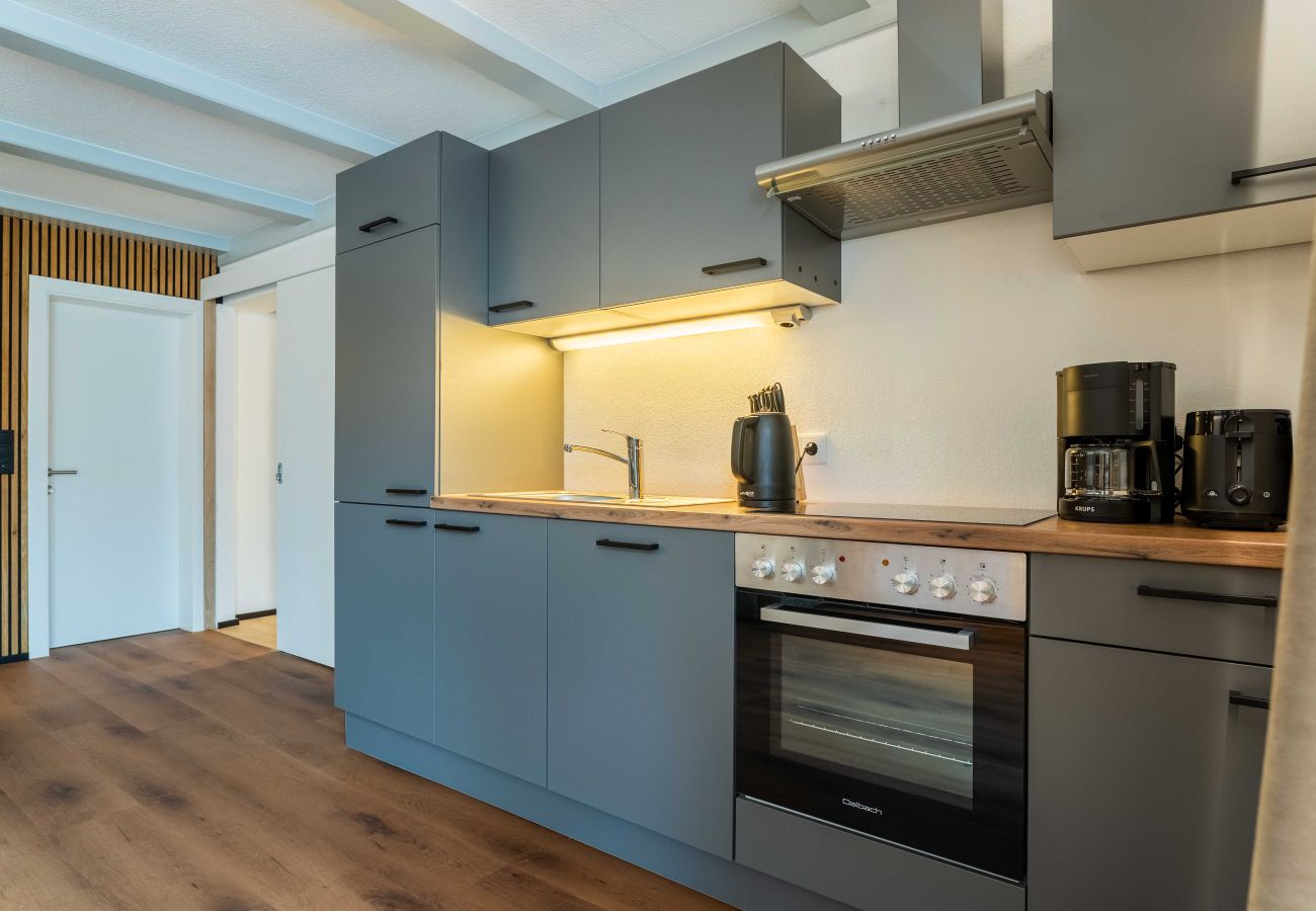 Ferienwohnung in Zell am See - Appartement Haus Elise - TOP 4