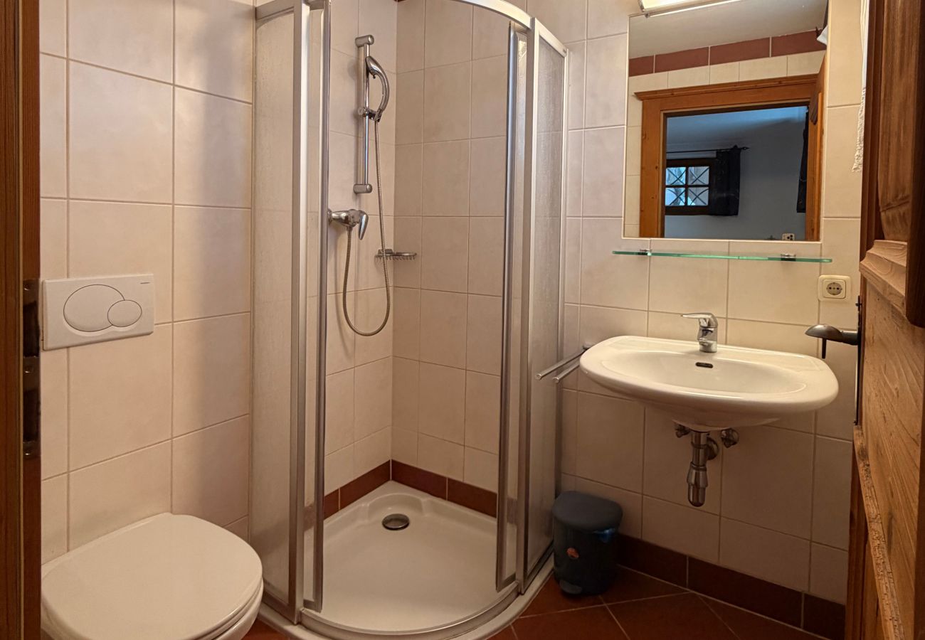 Chalet in Saalbach - Panorama Alm Chalets - Jägersruh Eins