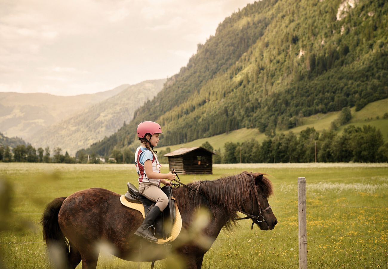 Ferienwohnung in Bad Hofgastein - Appartements Sonnberg - Top 3
