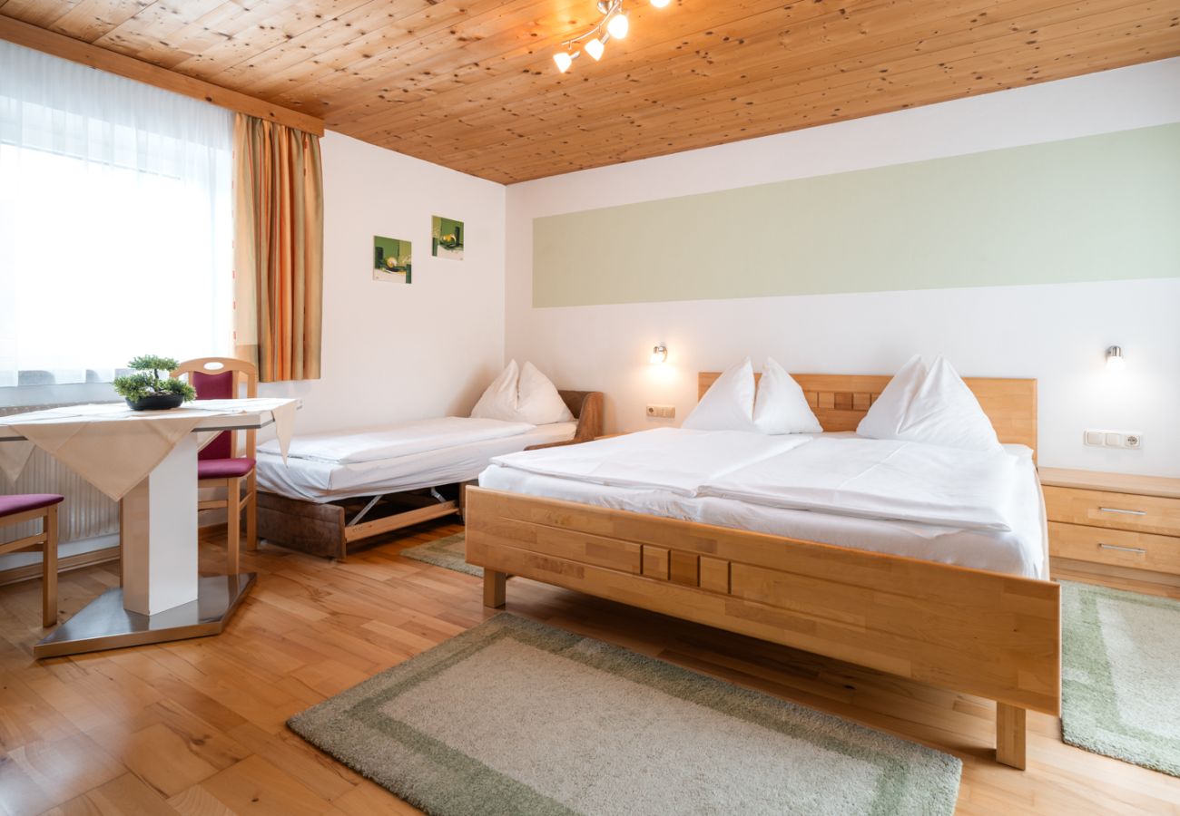 Ferienwohnung in Bad Hofgastein - Appartements Sonnberg - Top 3