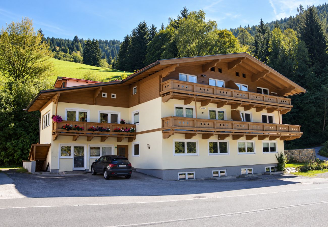 Ferienwohnung in Dienten am Hochkönig - Apartment Haus Dienten - Top 9