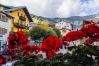 Ferienwohnung in Zell am See - Haus Gretel - Suite Hänsel